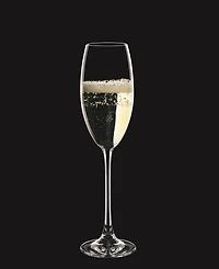 Nachtmann Vivendi Champagne Flute, Set of 4