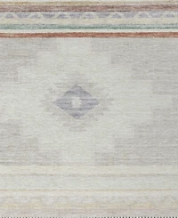 Dalyn Phoenix Washable PH1 2'3" x 7'6" Runner Area Rug