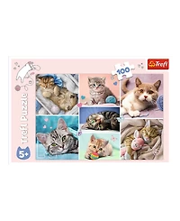 Trefl Red 100 Piece Kids Puzzle - In the cat world