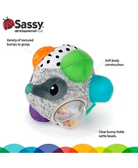 Sassy Bumpy Badger Developmental Baby Toy, 0 months plus