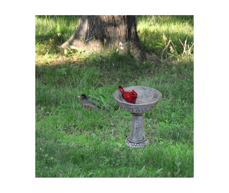 G & F Products Garden Miniature Cardinal Birdbath