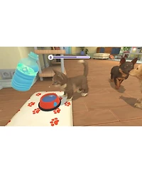 Maximum Games My Universe: Puppies and Kittens - Nintendo Switch