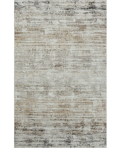 Lr Home Bienne BIENA288 4' x 6' Area Rug