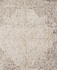 Lr Home Alice-405 7'9" x 9'9" Area Rug
