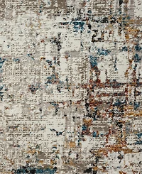 Lr Home Bienne BIENA289 4' x 6' Area Rug
