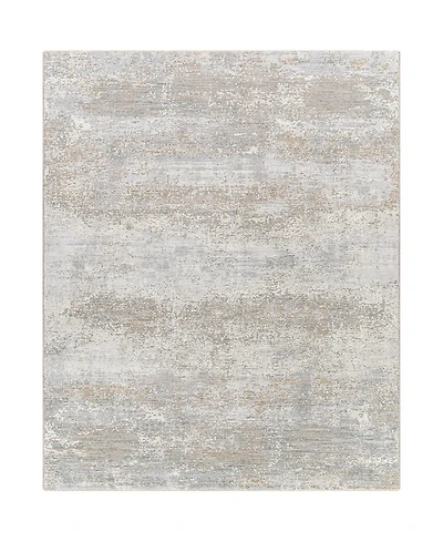 Livabliss Brunswick Bwk-2325 2'7" x 4' Area Rug