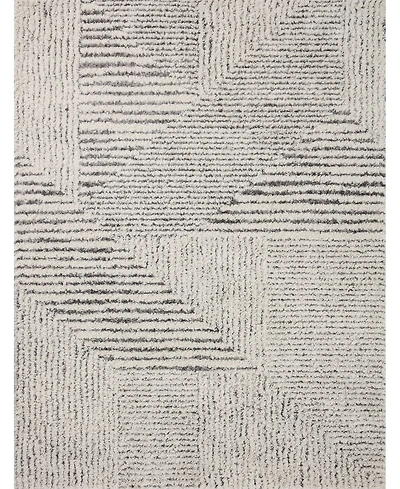 Loloi Levitt Shag Lev-02 4' x 6' Area Rug
