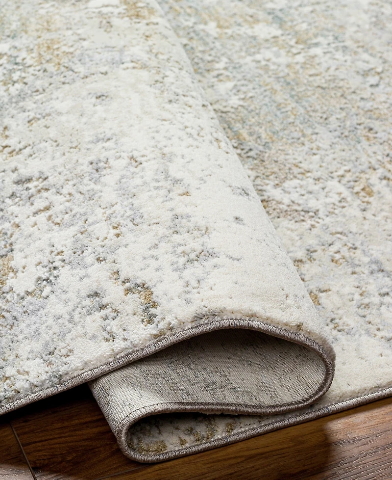 Livabliss Brunswick Bwk-2322 2'7" x 4' Area Rug