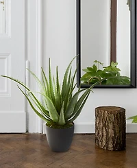 Nearly Natural Aloe Artificial Plant