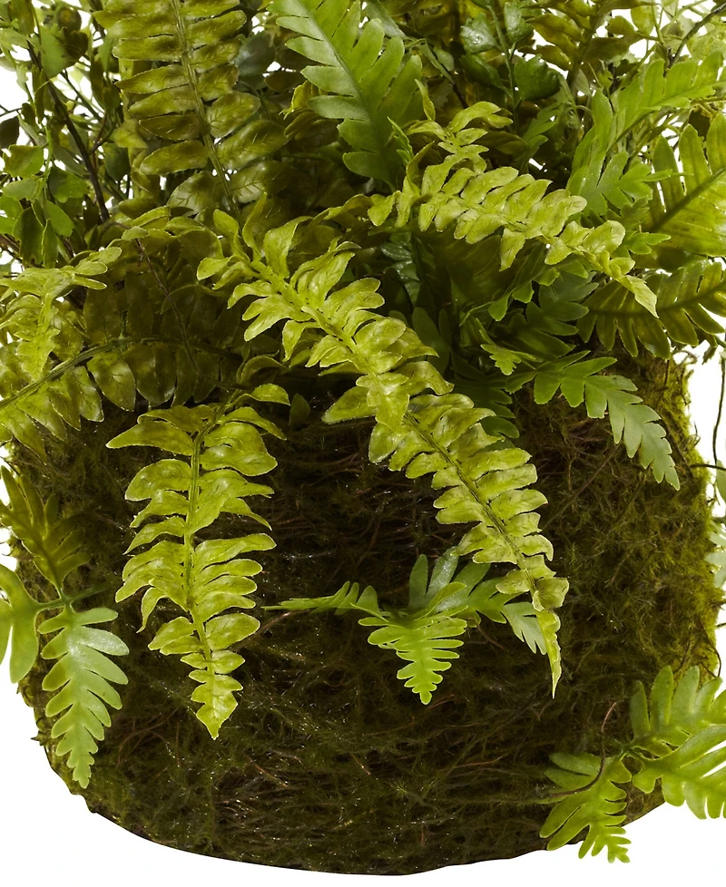 Nearly Natural Mixed Fern with Twig & Moss Basket