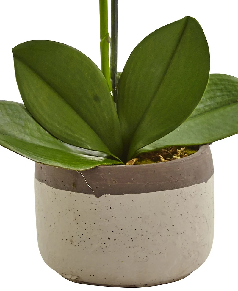 Nearly Natural Artificial Phalaenopsis Orchid in Ceramic Pot
