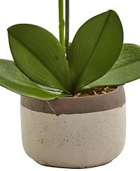 Nearly Natural Artificial Phalaenopsis Orchid in Ceramic Pot