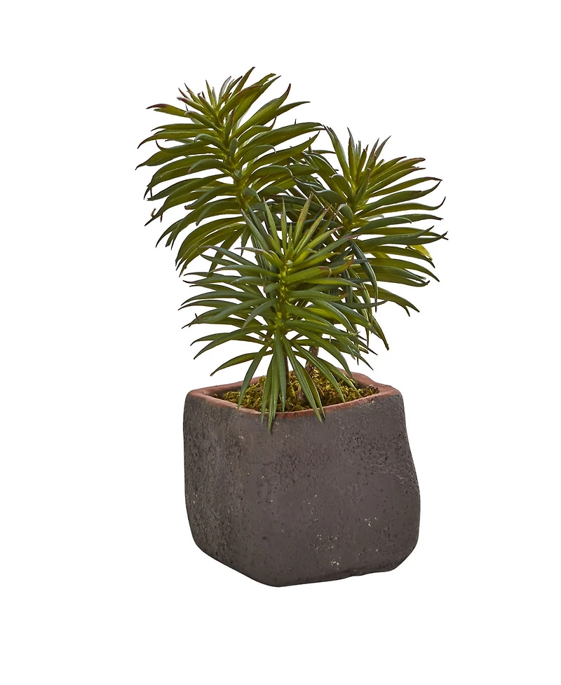 Nearly Natural Trio of Artificial Succulent Plants, Set of 3