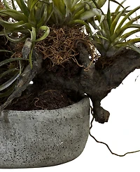Nearly Natural Orchid and Succulent Garden w/ Driftwood and Decorative Vase