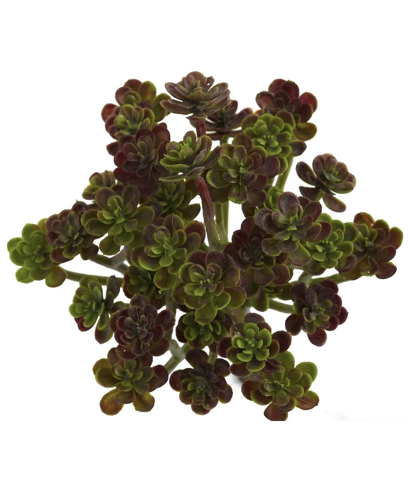 Nearly Natural 7" Sedum Succulent Artificial Plant, Set of 8
