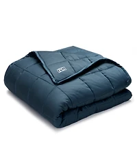 Pillow Guy 25lb Weighted Blanket