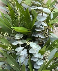 GreenishBlu Fresh Real Garland Eucalyptus Bayleaf and Rosemary Spring Garland