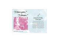 Star Wars I Love You. I Know.- Lessons in Love and Friendship by Amy Richau