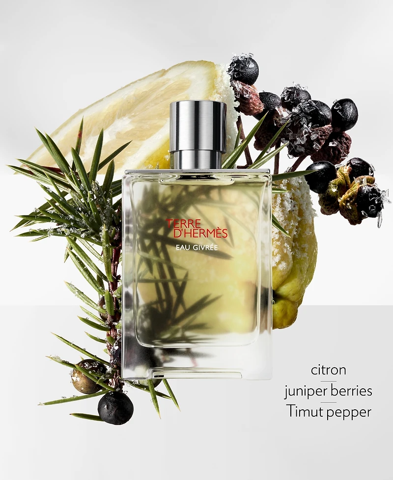 HERMES Terre d'Hermes Eau Givree Eau de Parfum Refill, 6.5 oz.
