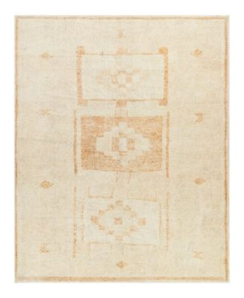 Becki Owens X Surya Solana Booc2300 Area Rug