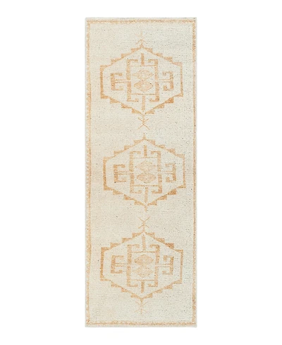 Livabliss Solana BOOC2301 2'7" x 7'3" Runner Area Rug