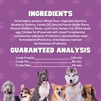 JoJo Modern Pets JoJo Good Chews Peanut Butter & Jelly Soft Chew Dog Treats – 5 oz/(2-Pack)