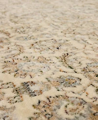Karastan Divina Virtuous 8' x 10' Area Rug