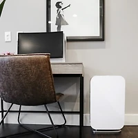 Alen BreatheSmart 45i 800 Sq. Ft. Air Purifier with Voc/Smoke Hepa Filter for Allergens, Dust, VOCs & Smoke