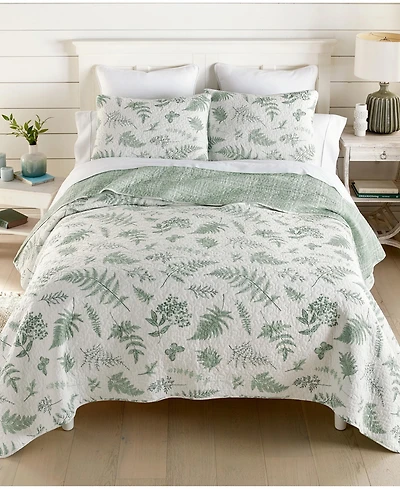 Donna Sharp Botanical Reversible 3-Piece Quilt Set, Queen