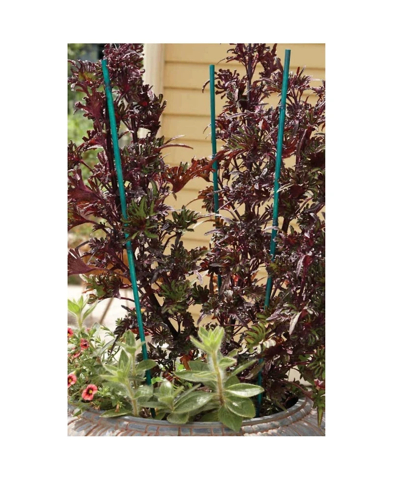 Bond 3-Foot Bamboo Stakes, 25 Pack
