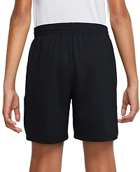 Nike Big Boys Multi Dri-fit Graphic Training Shorts