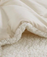 Videri Home Cozy Sherpa Comforter Sets