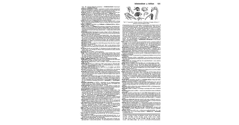 Merriam-Webster's Collegiate Dictionary by Merriam-Webster