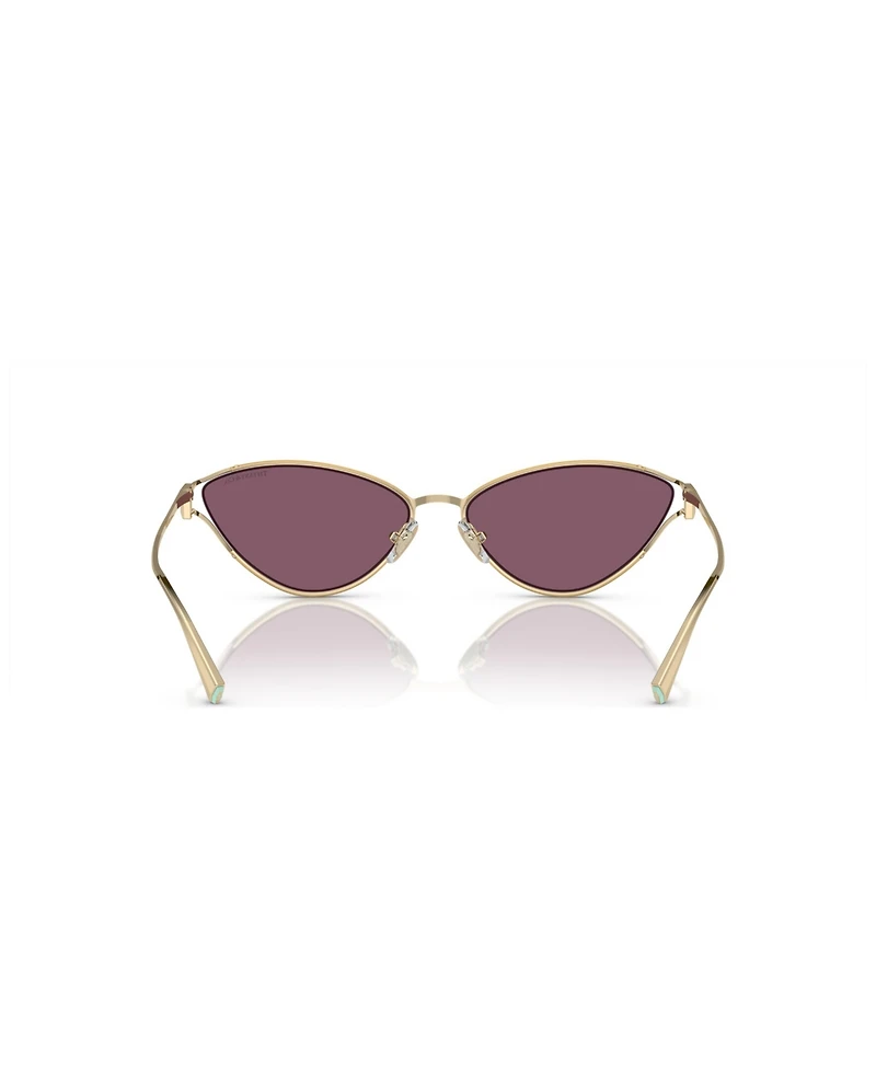 Tiffany & Co. Women's Sunglasses, Gradient TF3095