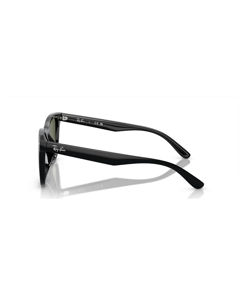 Ray-Ban Unisex Polarized Sunglasses, RB4420