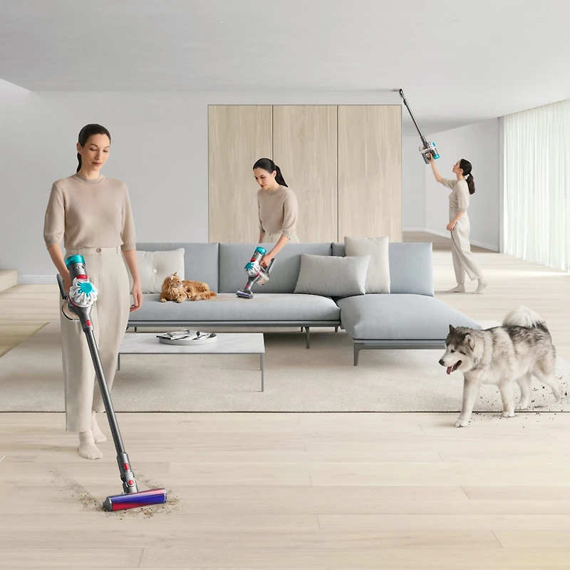 Dyson V8 Absolute Cordless Vacuum