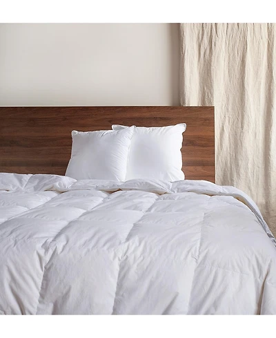 2 Pack - 20" x 20" Down Alternative Throw Pillow Insert