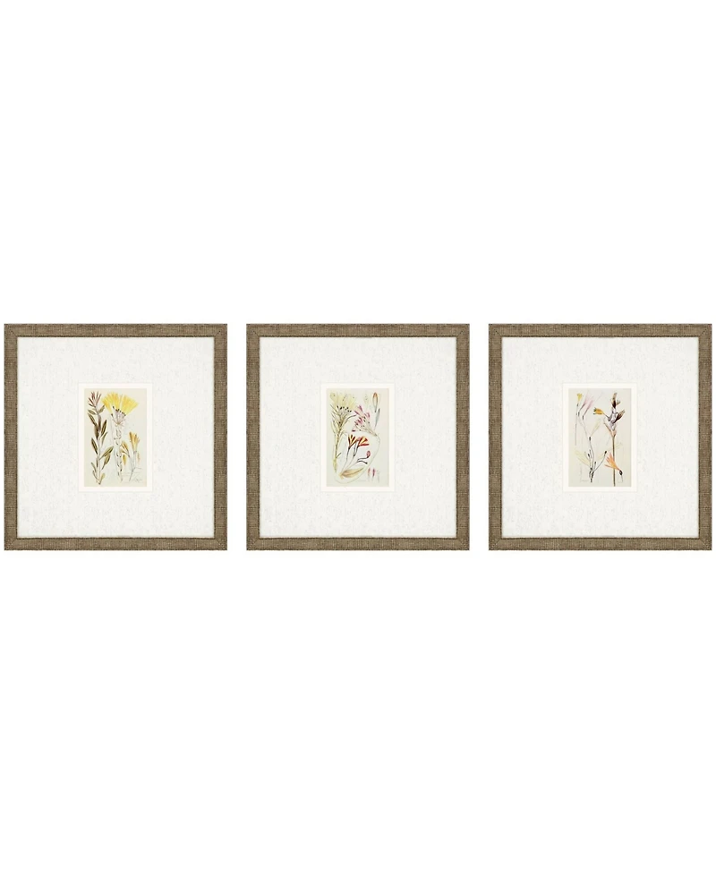 Antique-Like Botanical Ii Framed Art, Set of 3