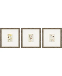 Antique-Like Botanical Ii Framed Art, Set of 3