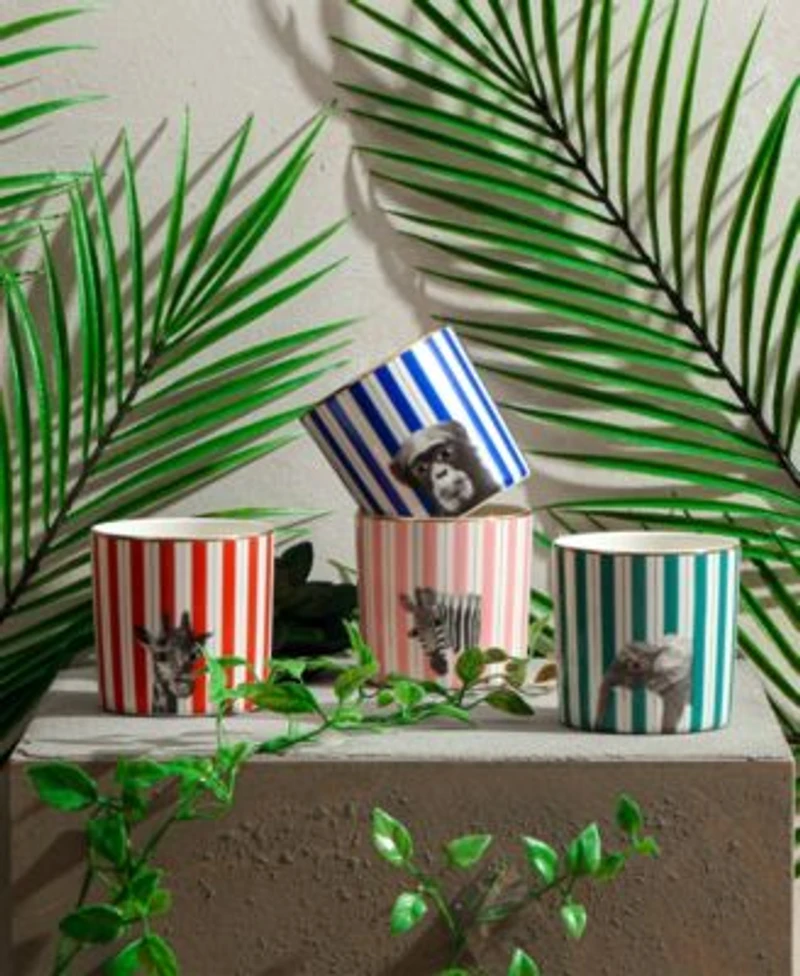 Porland Wild Life Collection
