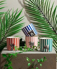 Porland Wild Life Collection