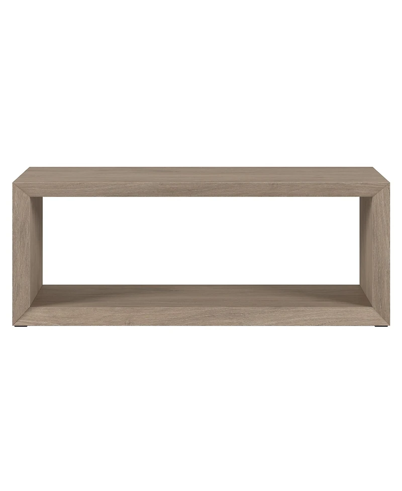 Hudson & Canal Osmond 48" Wide Rectangular Coffee Table