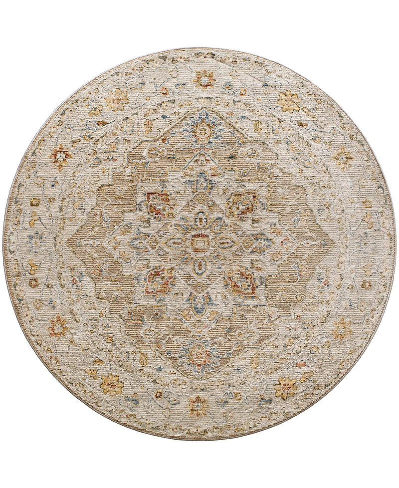 Surya Reina Ren-2305 6'7" x 6'7" Round Area Rug