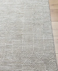 Livabliss Masterpiece High-Low Mpc-2310 5' x 7'5" Area Rug