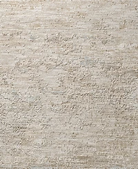 Livabliss Masterpiece High-Low Mpc-2318 5'3" x 5'3" Round Area Rug