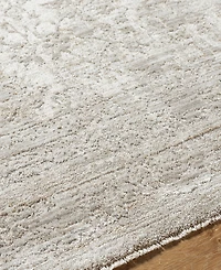 Livabliss Masterpiece High-Low Mpc-2300 2'8" x 10' Runner Area Rug