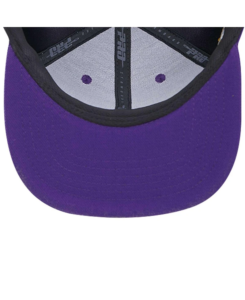 Men's Pro Standard Purple Prairie View A&M Panthers Evergreen Mascot Snapback Hat