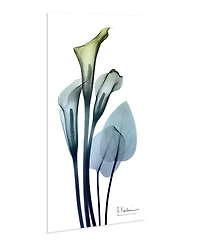 Empire Art Direct "CaLIa LIly" Frameless Free Floating Tempered Glass Panel Graphic Wall Art, 48" x 24" x 0.2"