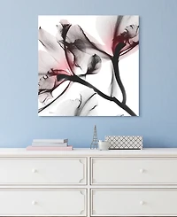 Empire Art Direct "Coral Luster 2" Frameless Free Floating Tempered Glass Panel Graphic Wall Art, 24" x 24" x 0.2"