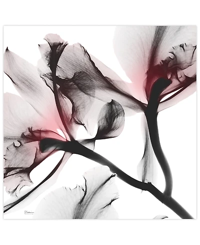 Empire Art Direct "Coral Luster 2" Frameless Free Floating Tempered Glass Panel Graphic Wall Art, 24" x 24" x 0.2"